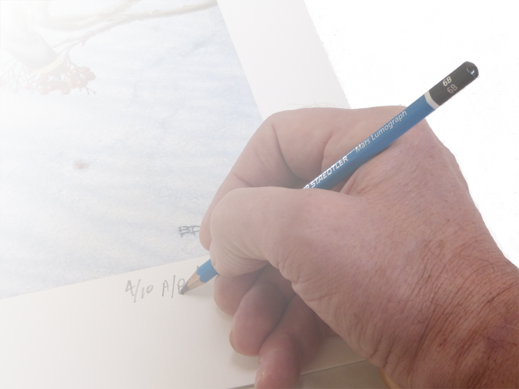 What is an Artist Proof? North Images